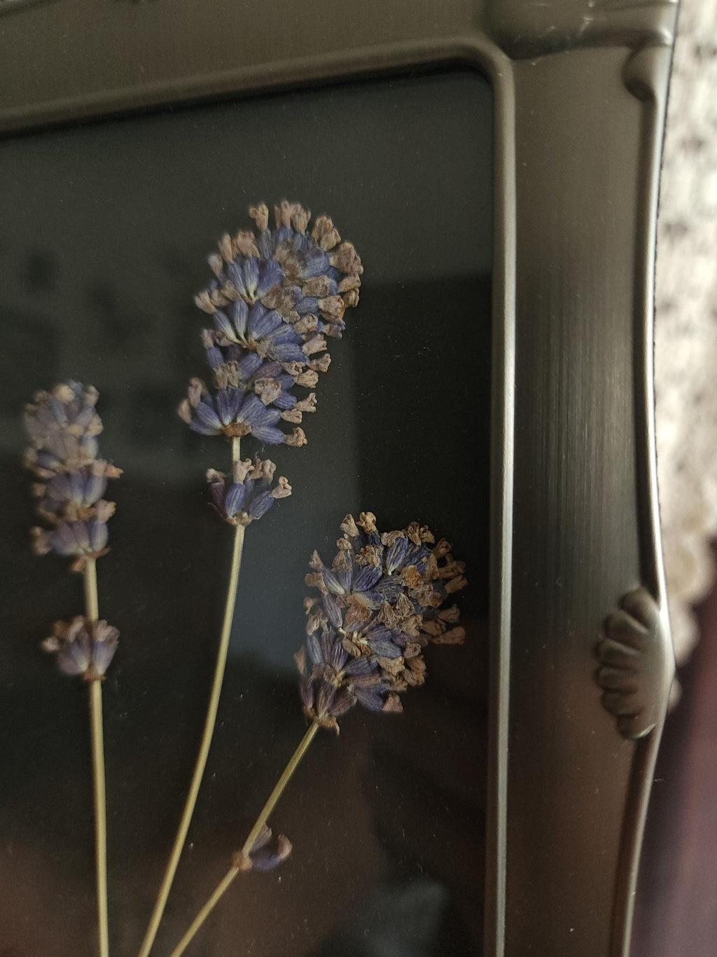 Framed Handmade Pressed Dried Lavender Flowers