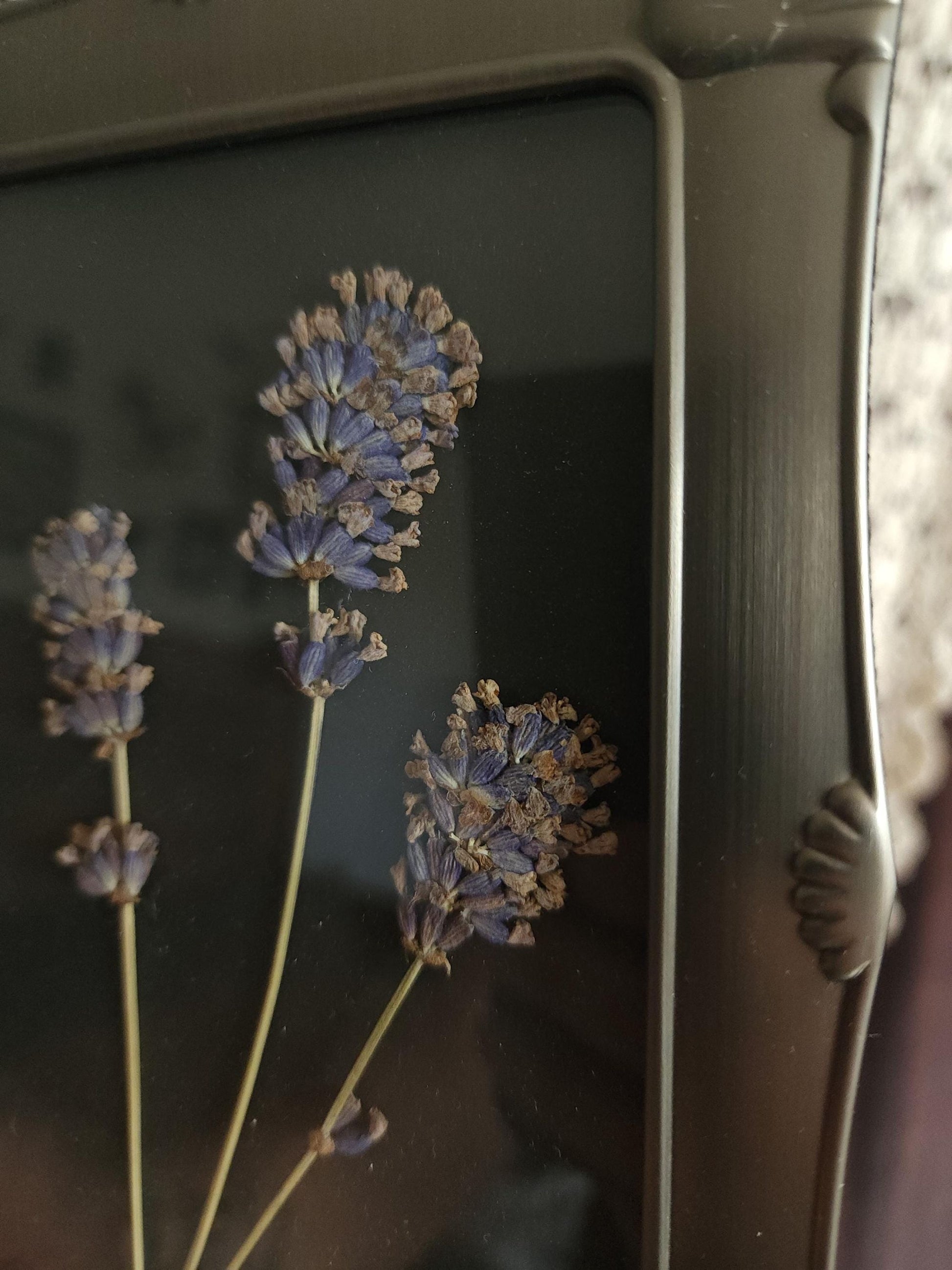 Framed Handmade Pressed Dried Lavender Flowers
