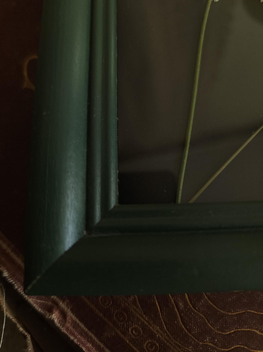 Pressed Dried Queen Annes Lace in a Vintage Style Green Wood Frame