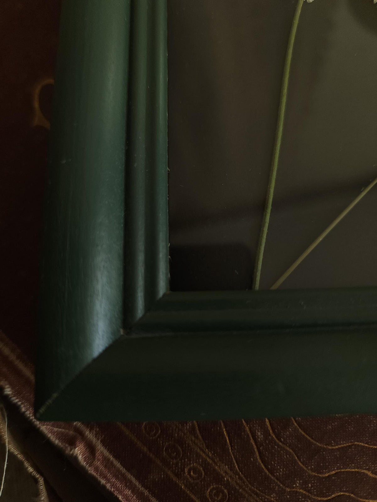 Pressed Dried Queen Annes Lace in a Vintage Style Green Wood Frame