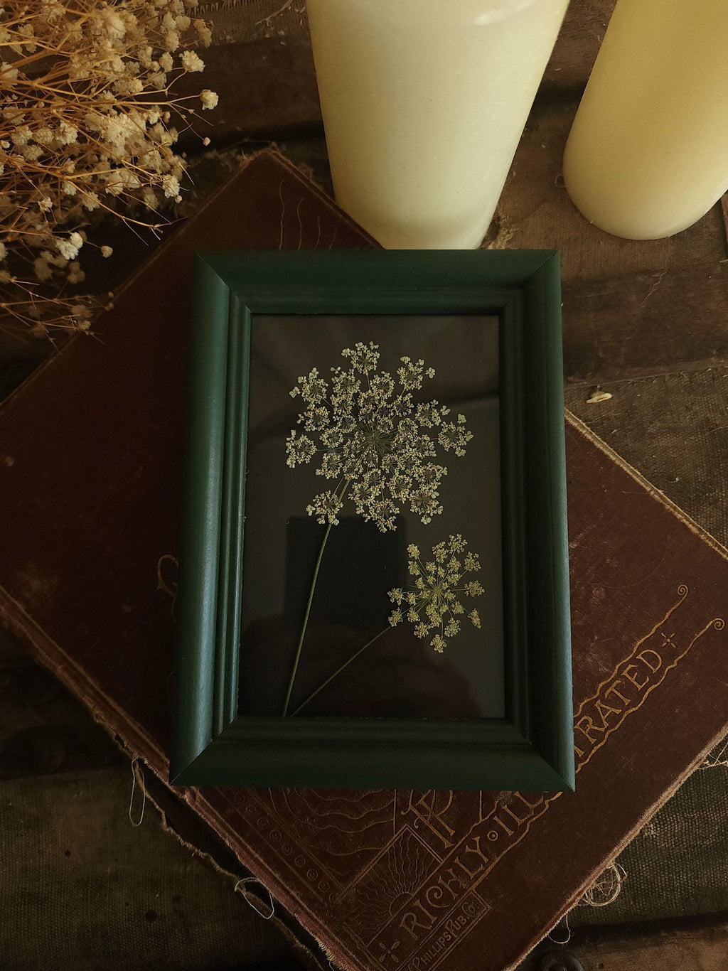Pressed Dried Queen Annes Lace in a Vintage Style Green Wood Frame