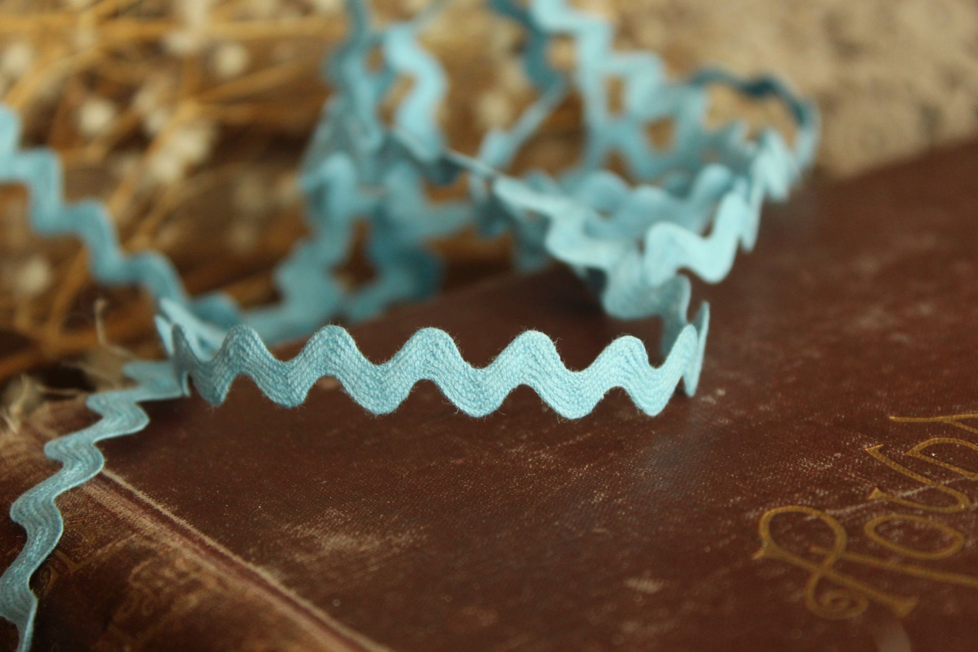 Vintage 1960s Blue Ric Rac Trim