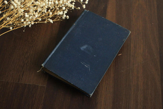 Vintage Book, "Barnaby Rudge", Charles Dickens