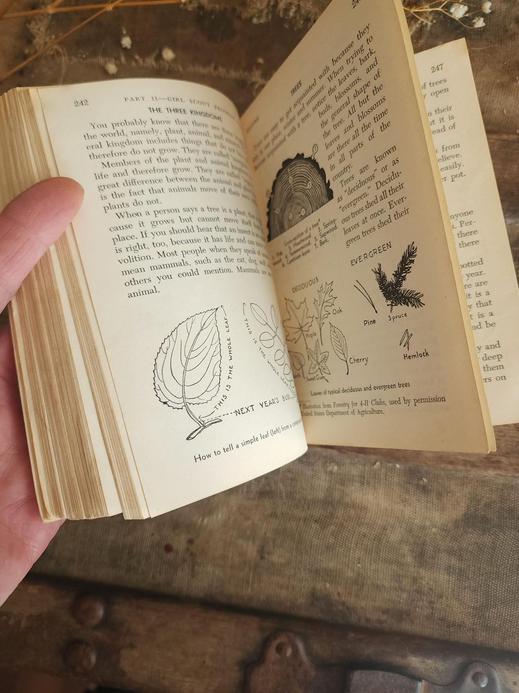 Vintage 1950s Book, "Girl Scout Handbook, Intermediate Program"