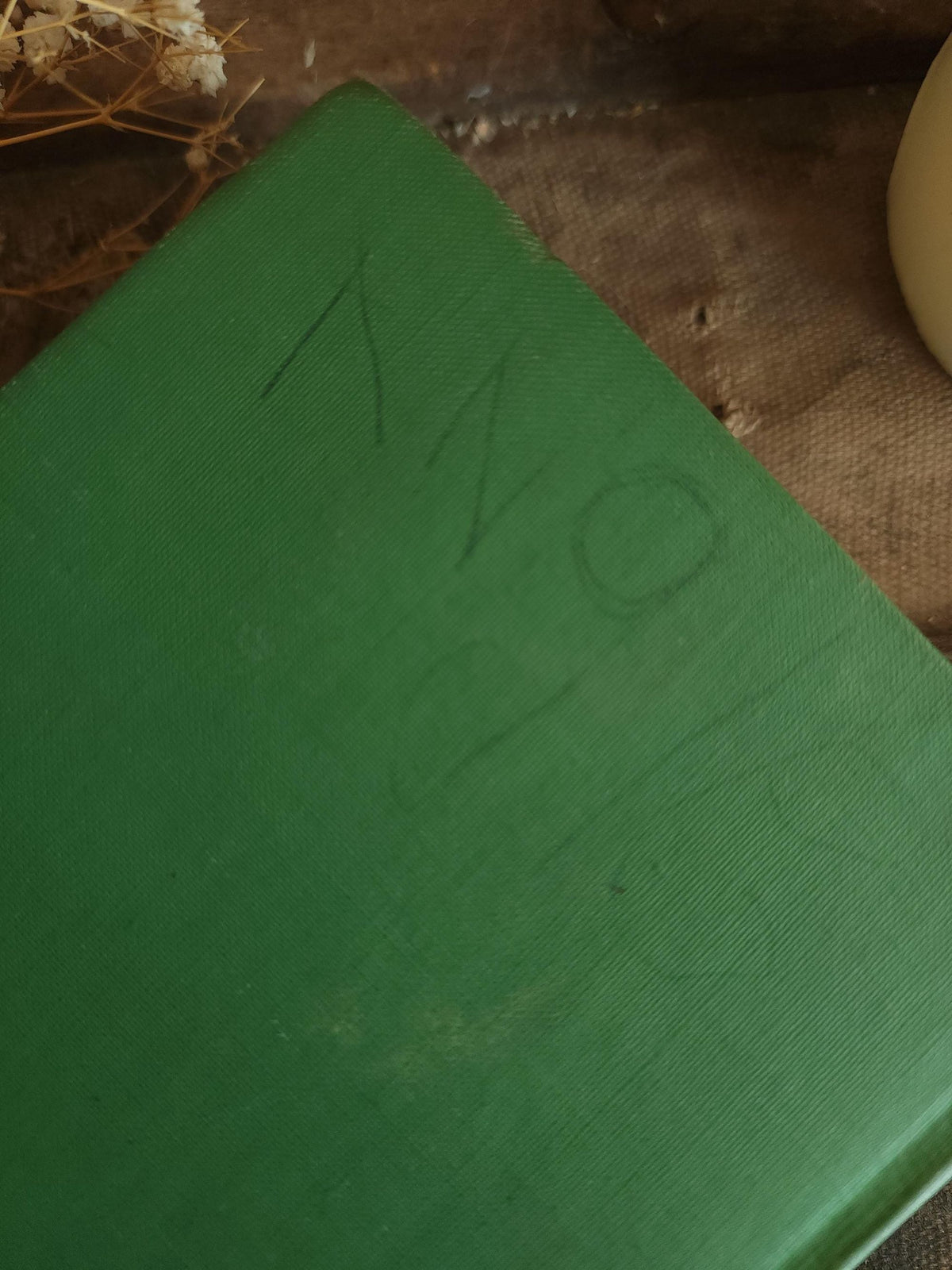 Vintage 1950s Book, "Girl Scout Handbook, Intermediate Program"