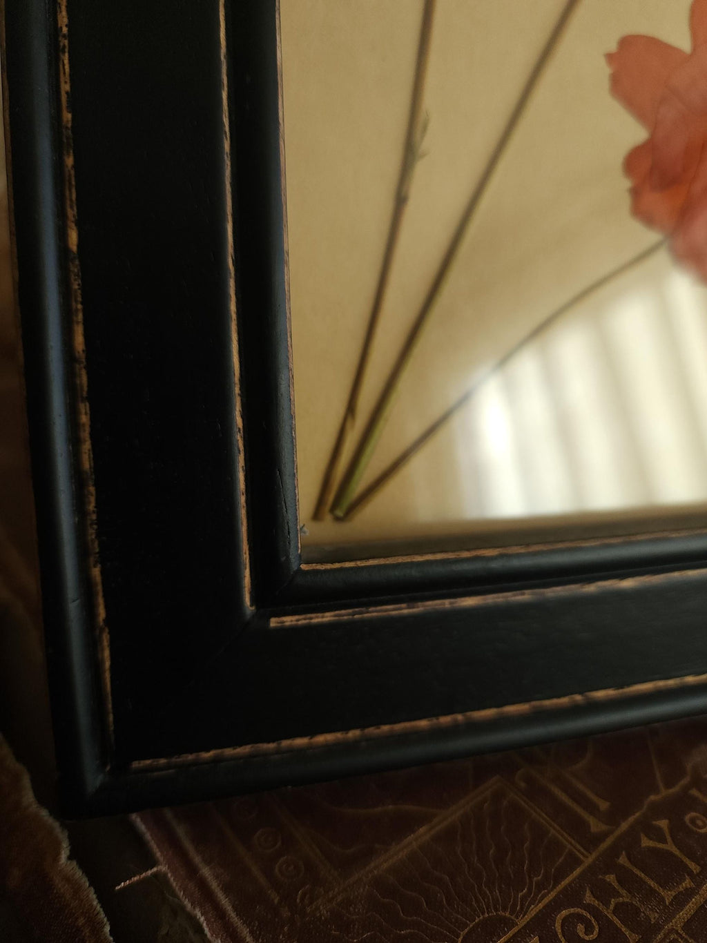 Handmade Pressed Dried Orange Cosmos in a Black Wooden Frame