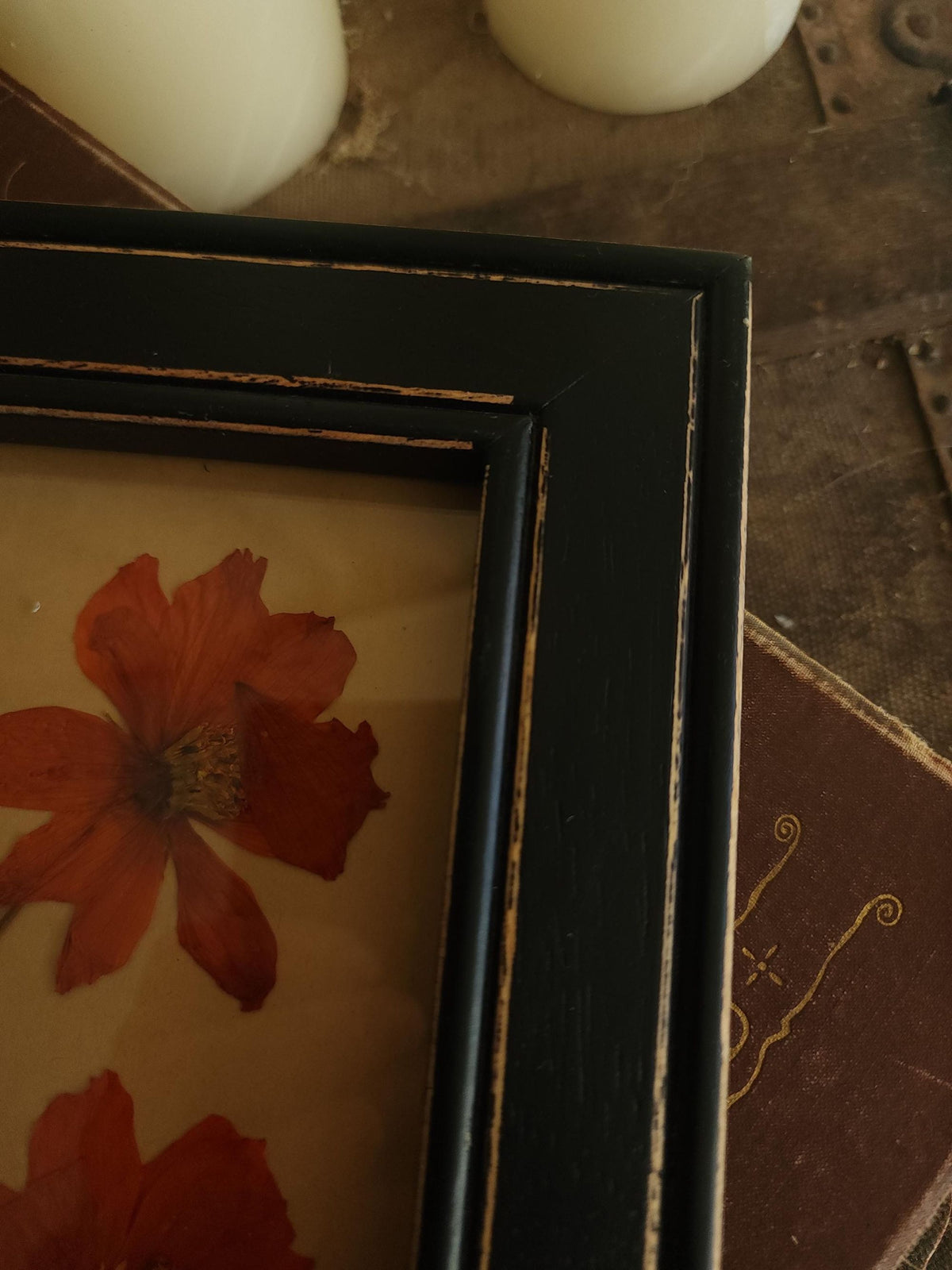 Handmade Pressed Dried Orange Cosmos in a Black Wooden Frame