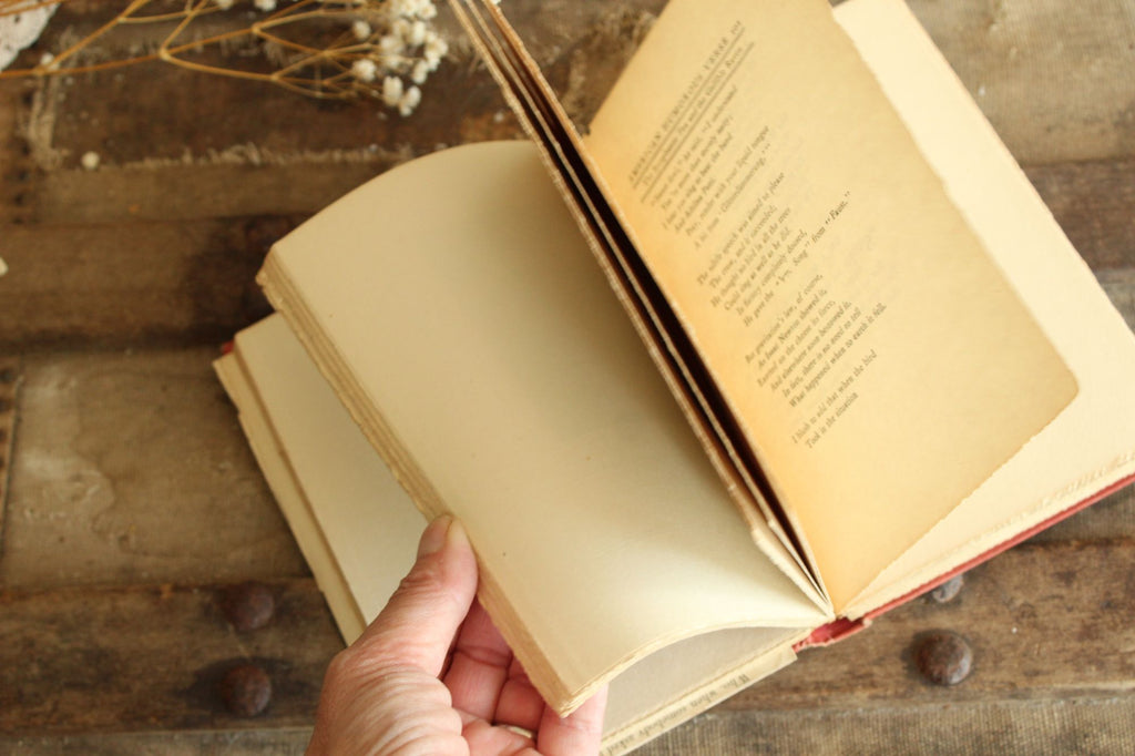 Vintage 1900s Book, A Book of American Humorous Verse, Poetry, Duffield & Company