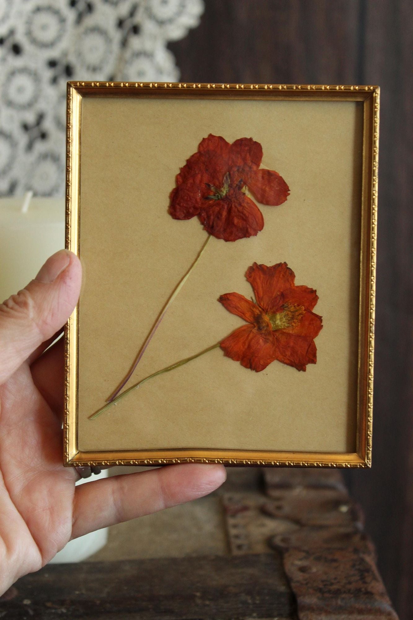 Pressed Dried Cosmos in 1940s Vintage Gold Metal Frame
