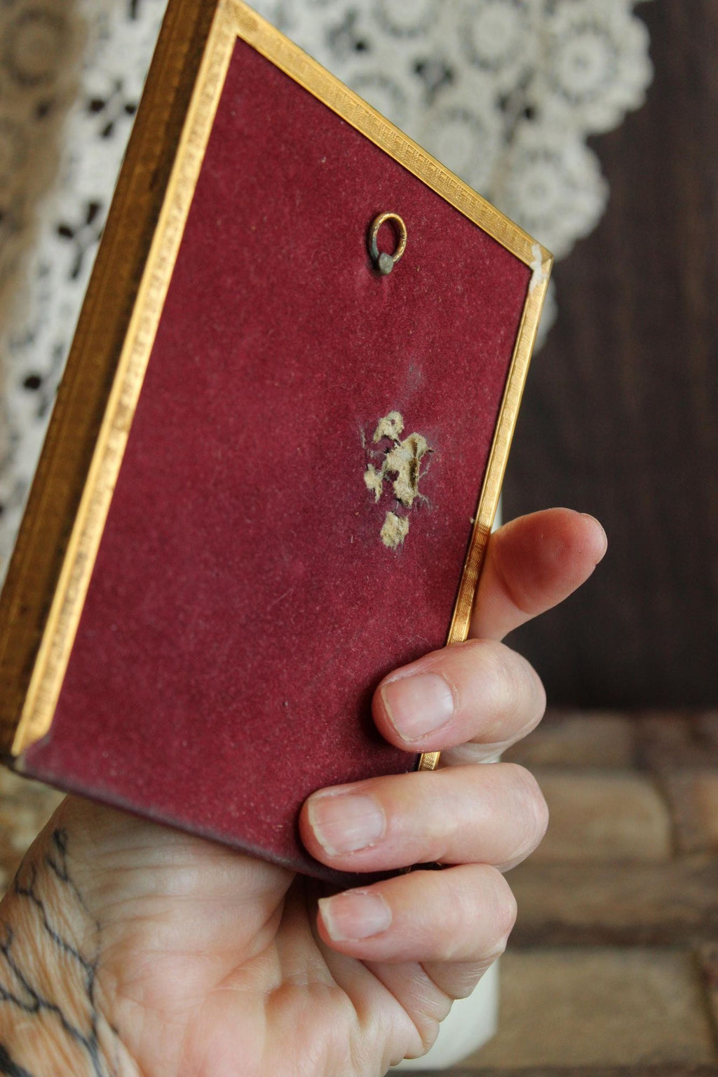 Pressed Dried Cosmos in 1940s Vintage Gold Metal Frame
