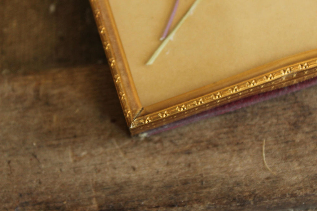 Pressed Dried Cosmos in 1940s Vintage Gold Metal Frame