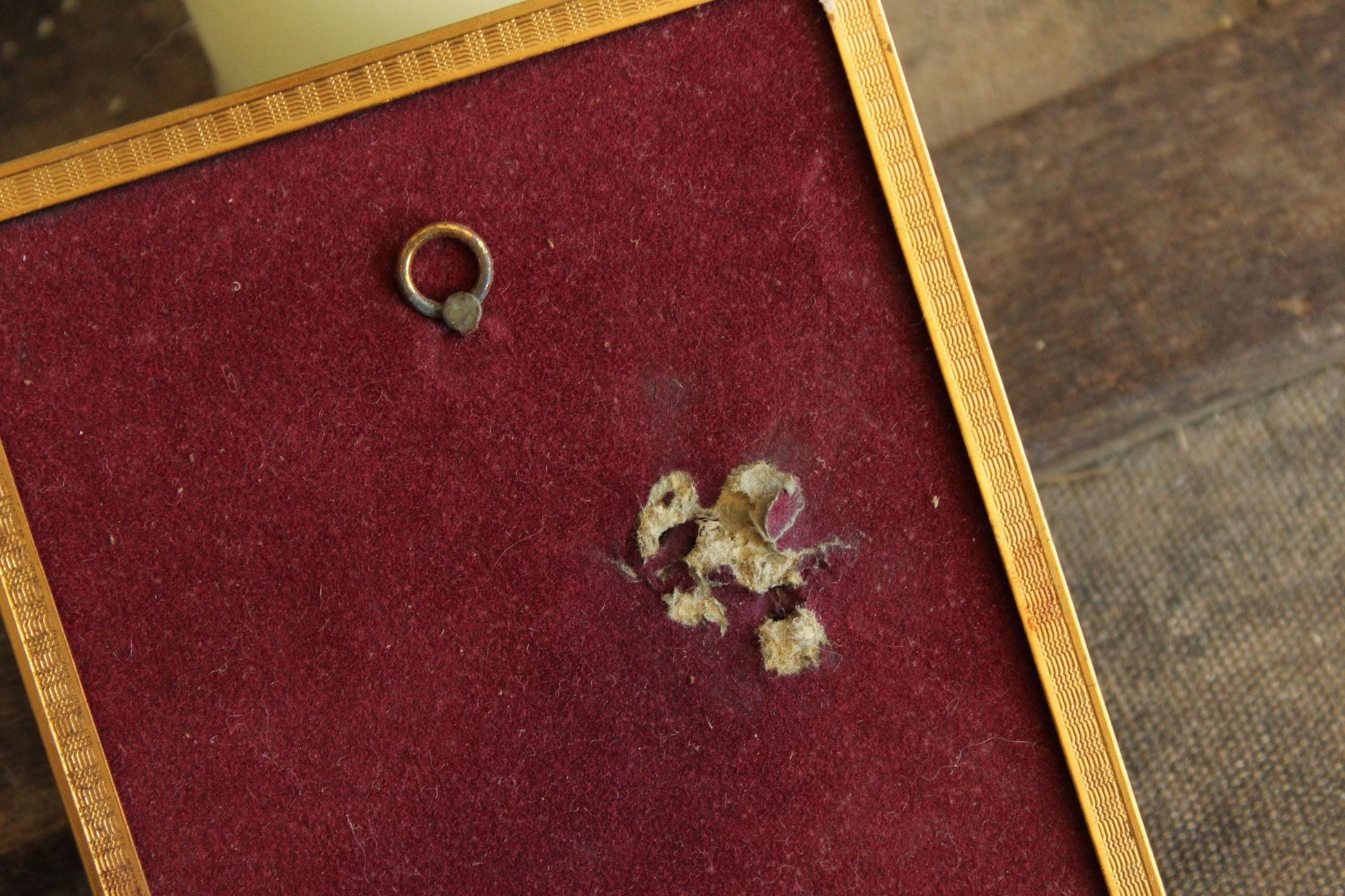 Pressed Dried Cosmos in 1940s Vintage Gold Metal Frame