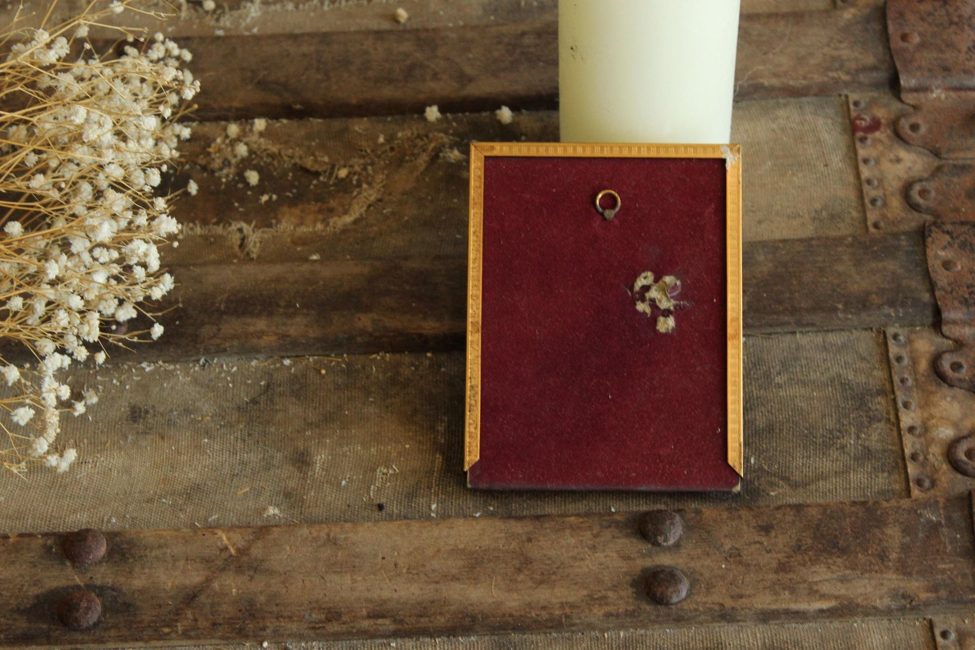 Pressed Dried Cosmos in 1940s Vintage Gold Metal Frame