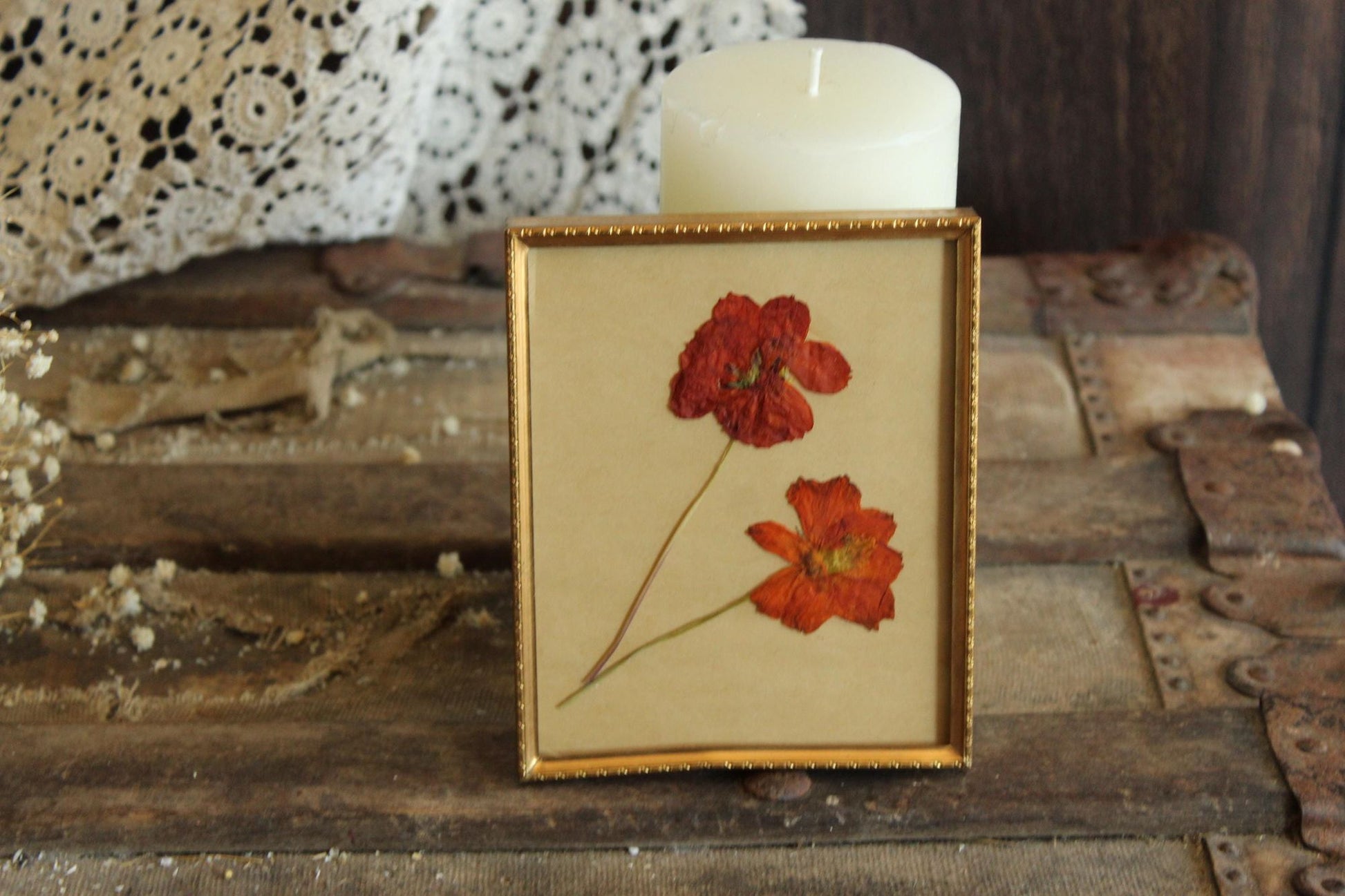 Pressed Dried Cosmos in 1940s Vintage Gold Metal Frame