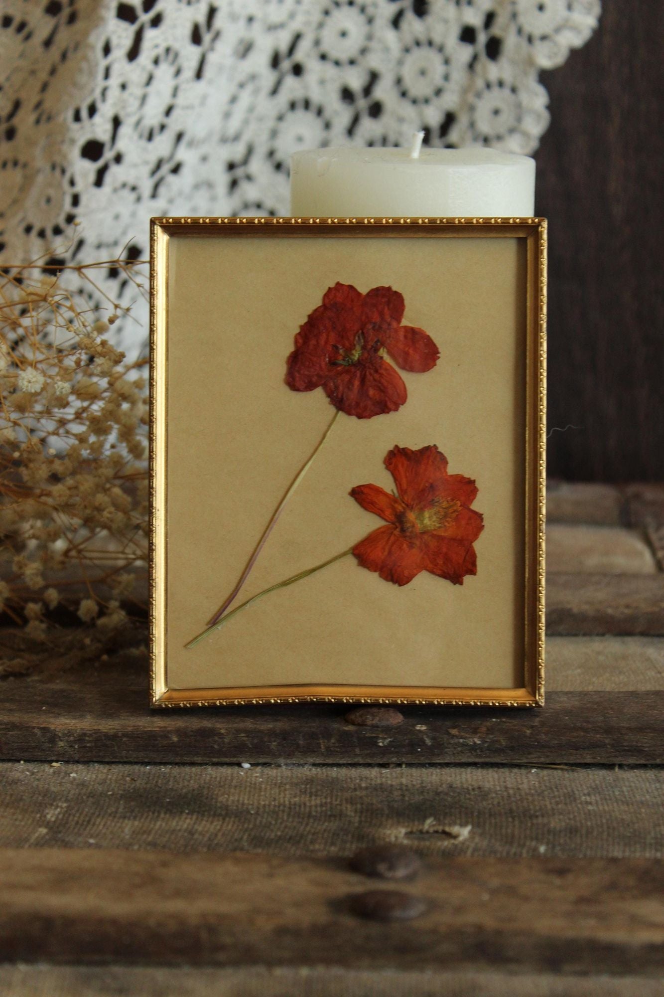 Pressed Dried Cosmos in 1940s Vintage Gold Metal Frame