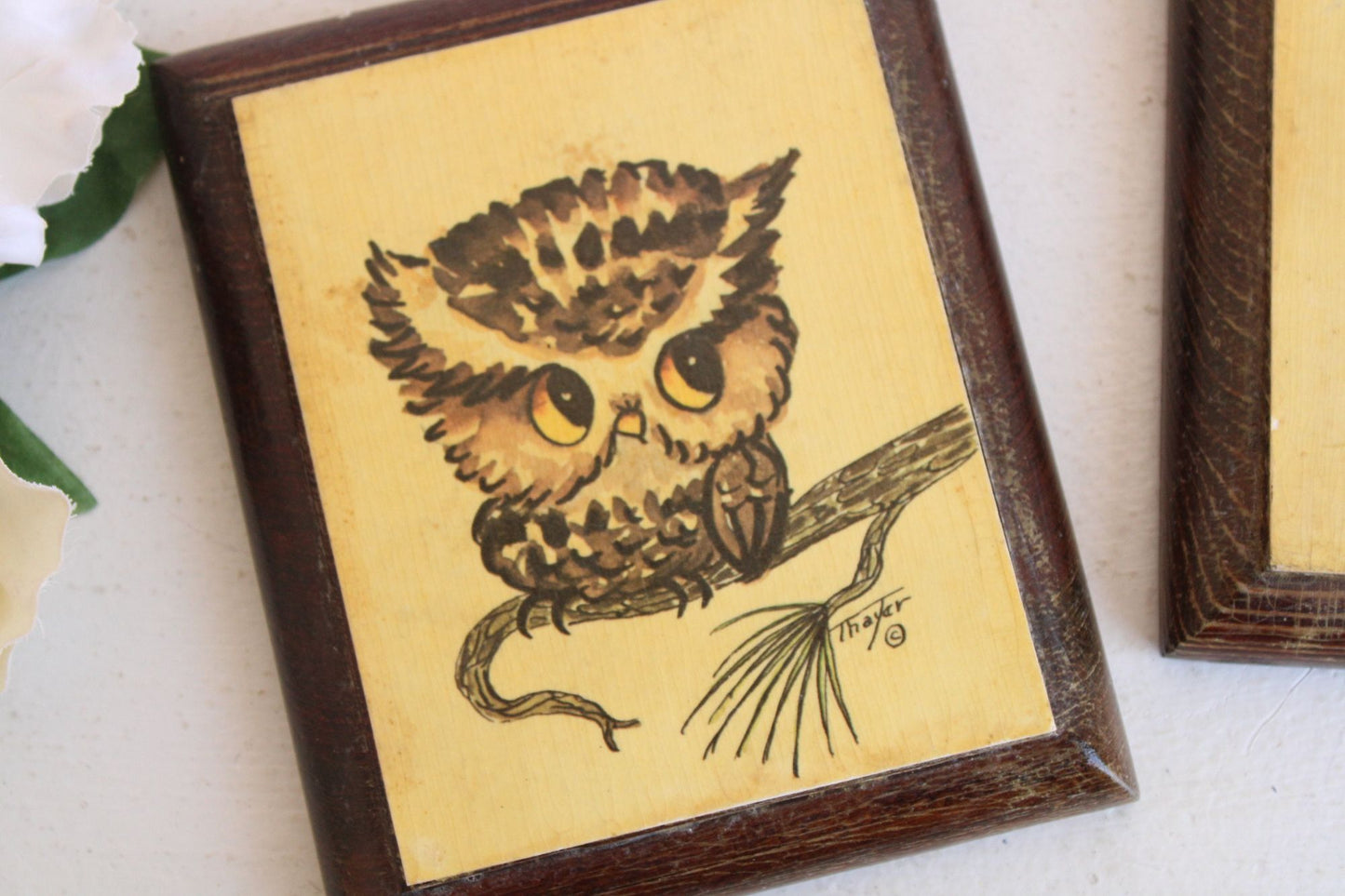 Vintage 1970s Prints, Owls Decoupaged on Wood