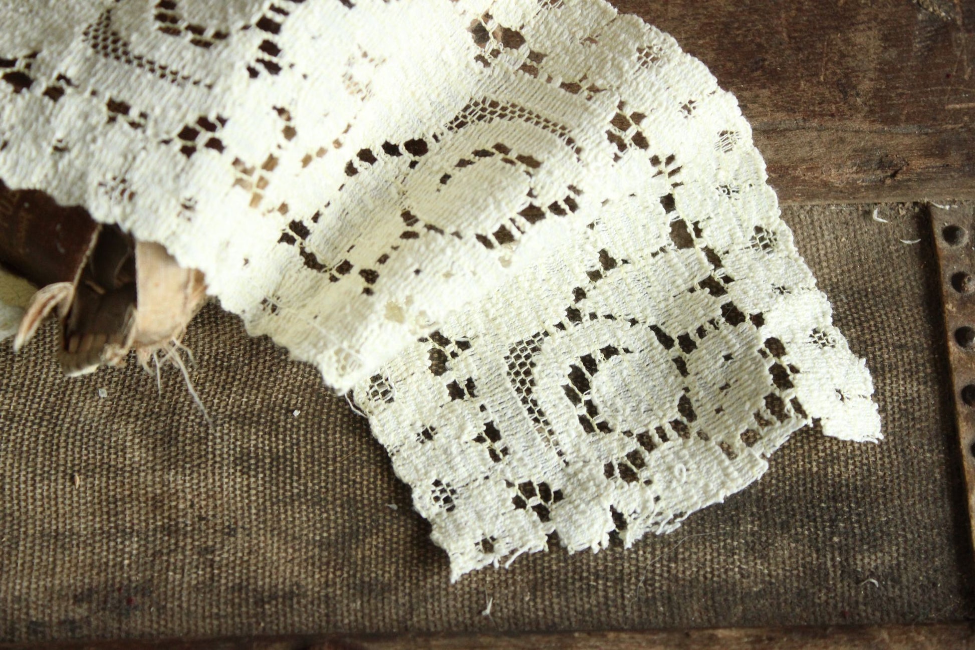 Vintage Lace Trim, Ivory Cotton Tulip Pattern 3.5" Wide, 4 Yards