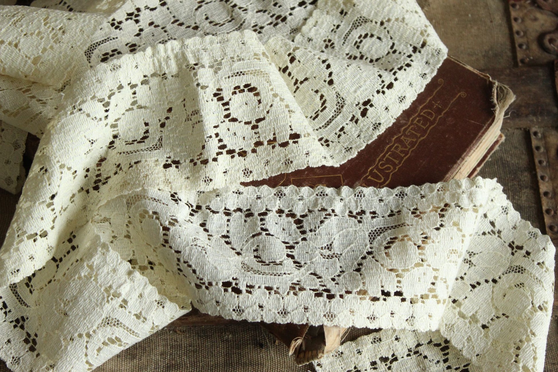 Vintage Lace Trim, Ivory Cotton Tulip Pattern 3.5" Wide, 4 Yards