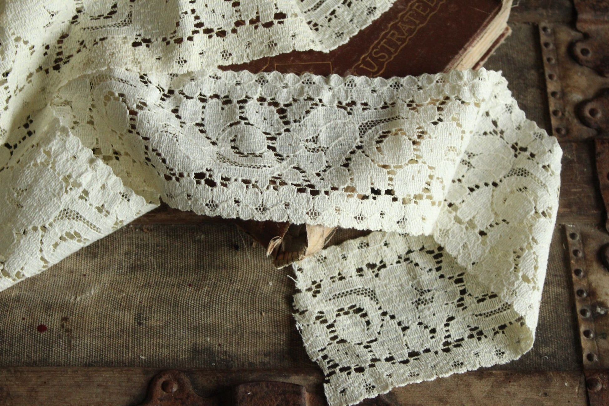 Vintage Lace Trim, Ivory Cotton Tulip Pattern 3.5" Wide, 4 Yards