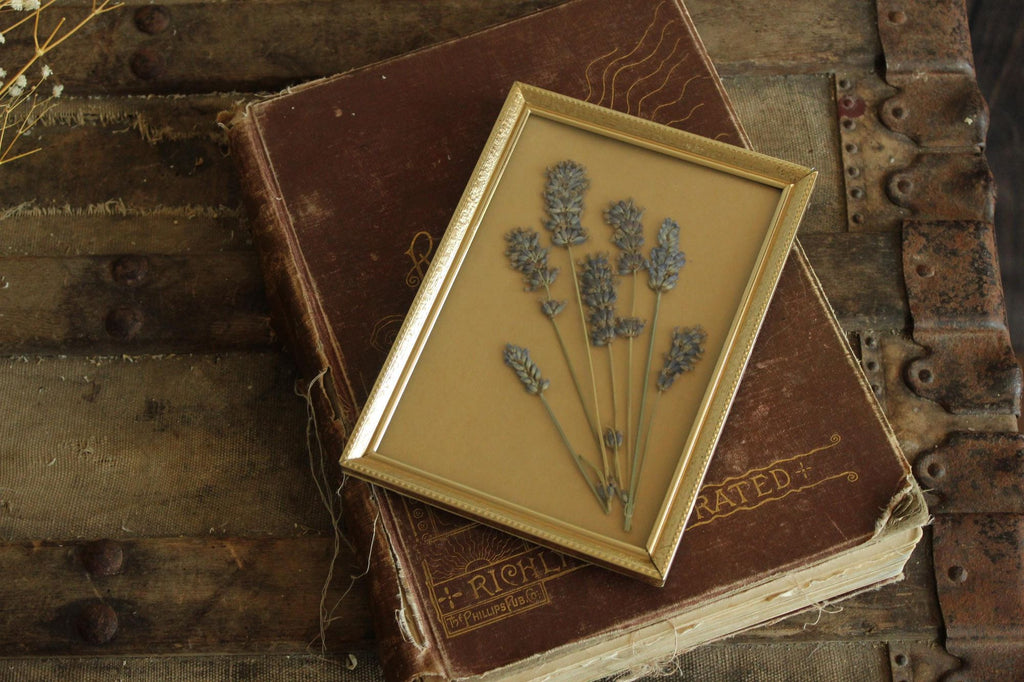 Pressed Dried Lavender in Vintage Gold Metal Frame