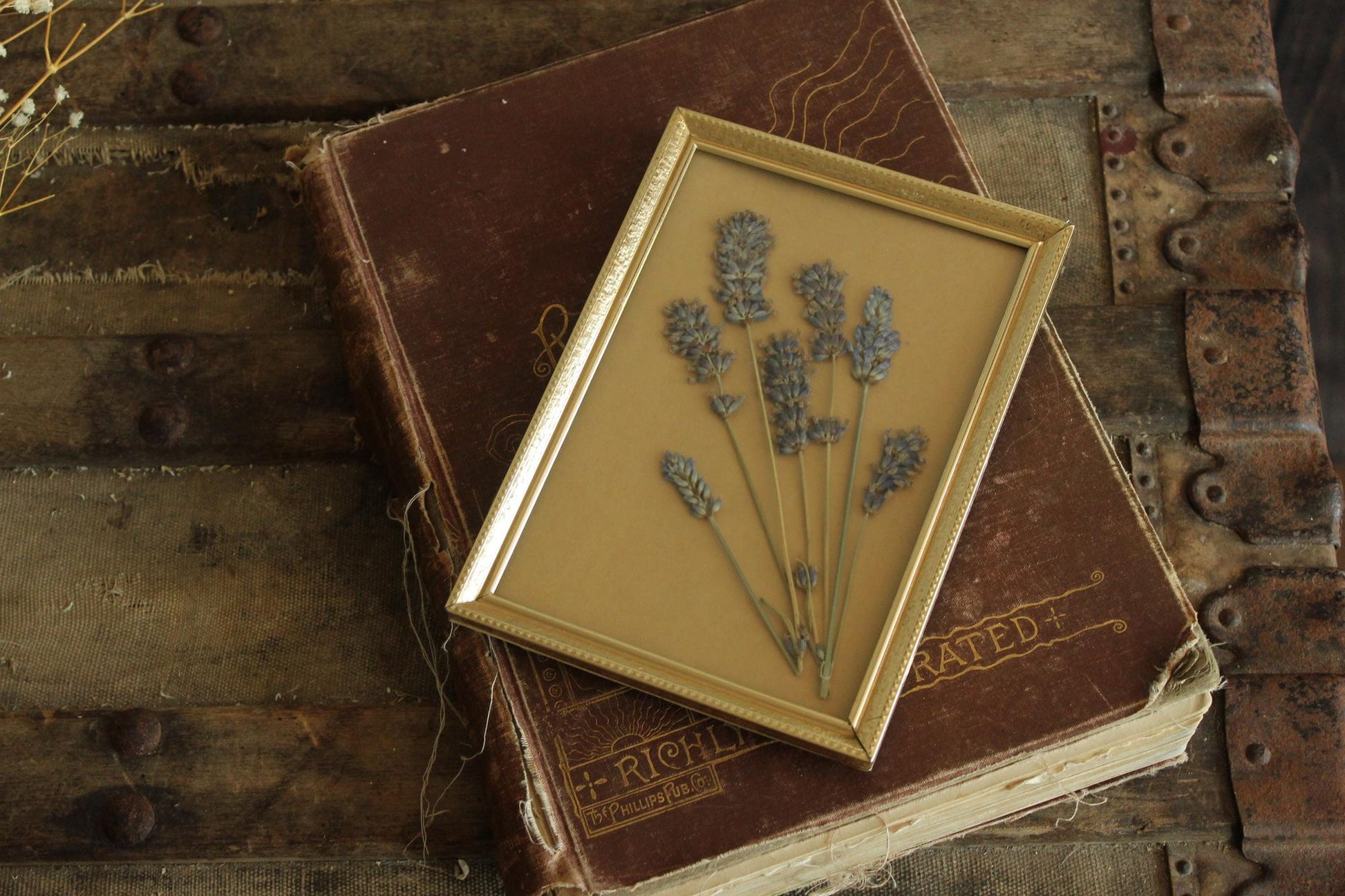 Pressed Dried Lavender in Vintage Gold Metal Frame