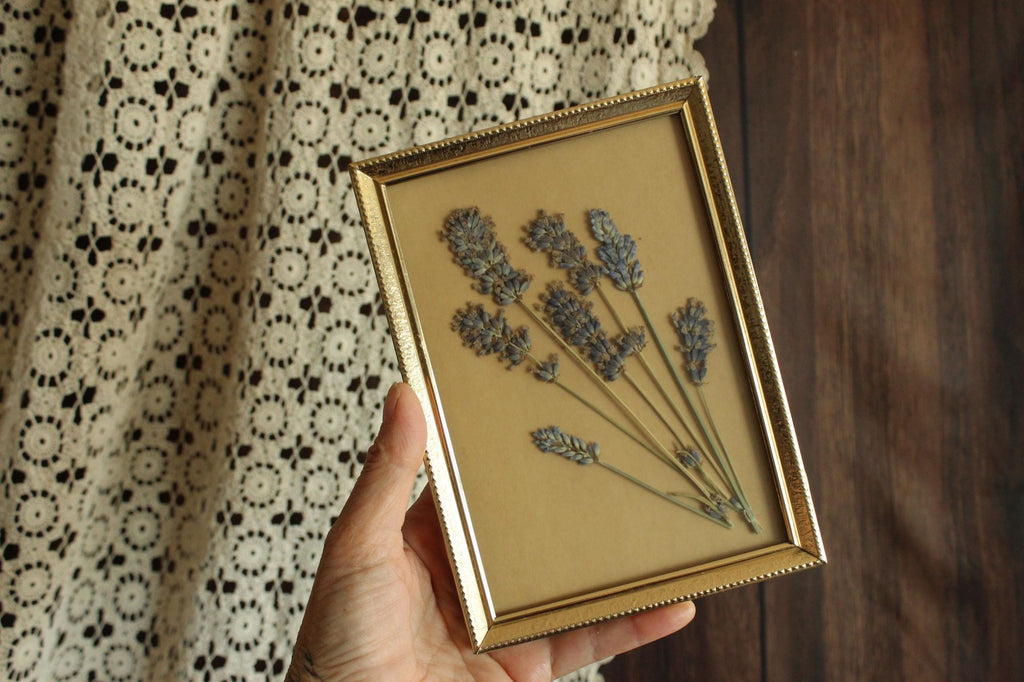 Pressed Dried Lavender in Vintage Gold Metal Frame