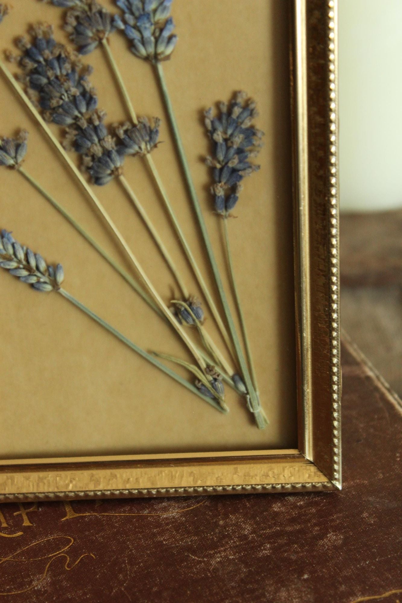 Pressed Dried Lavender in Vintage Gold Metal Frame