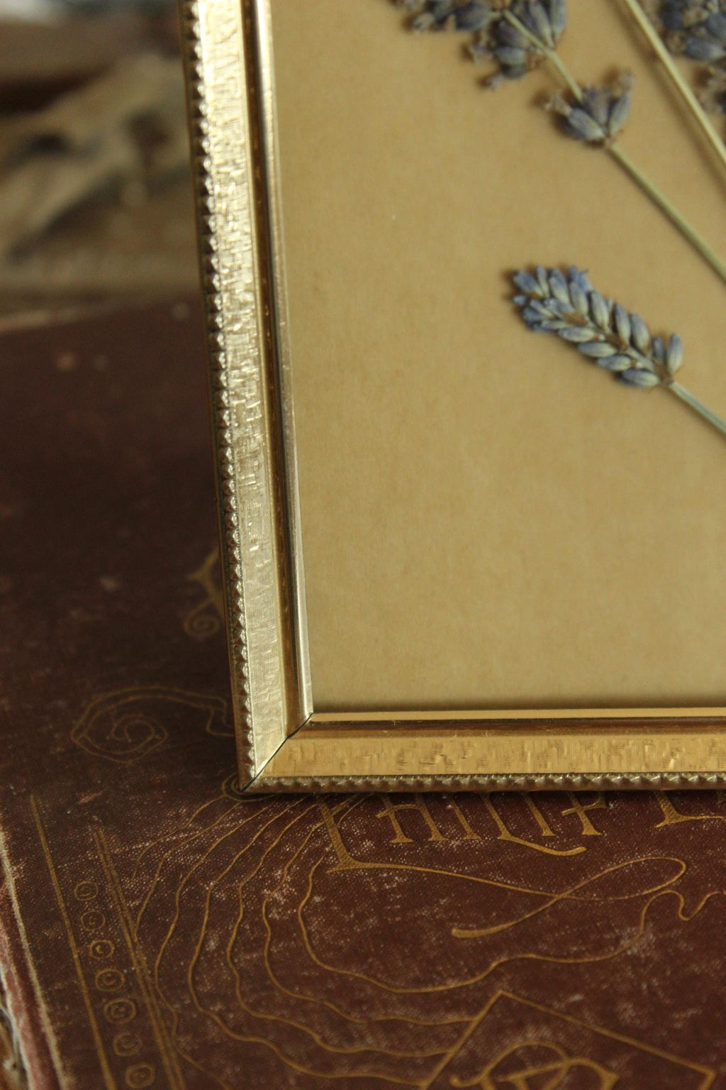 Pressed Dried Lavender in Vintage Gold Metal Frame