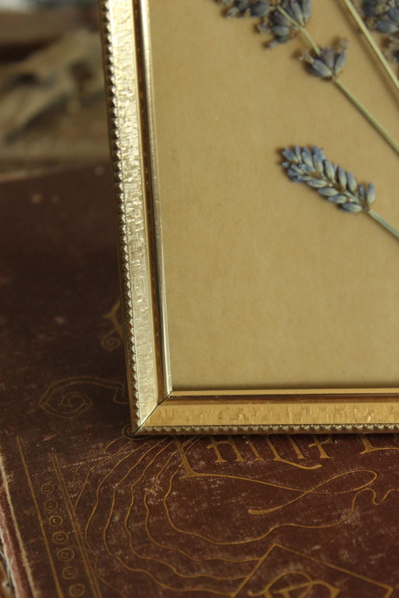 Pressed Dried Lavender in Vintage Gold Metal Frame