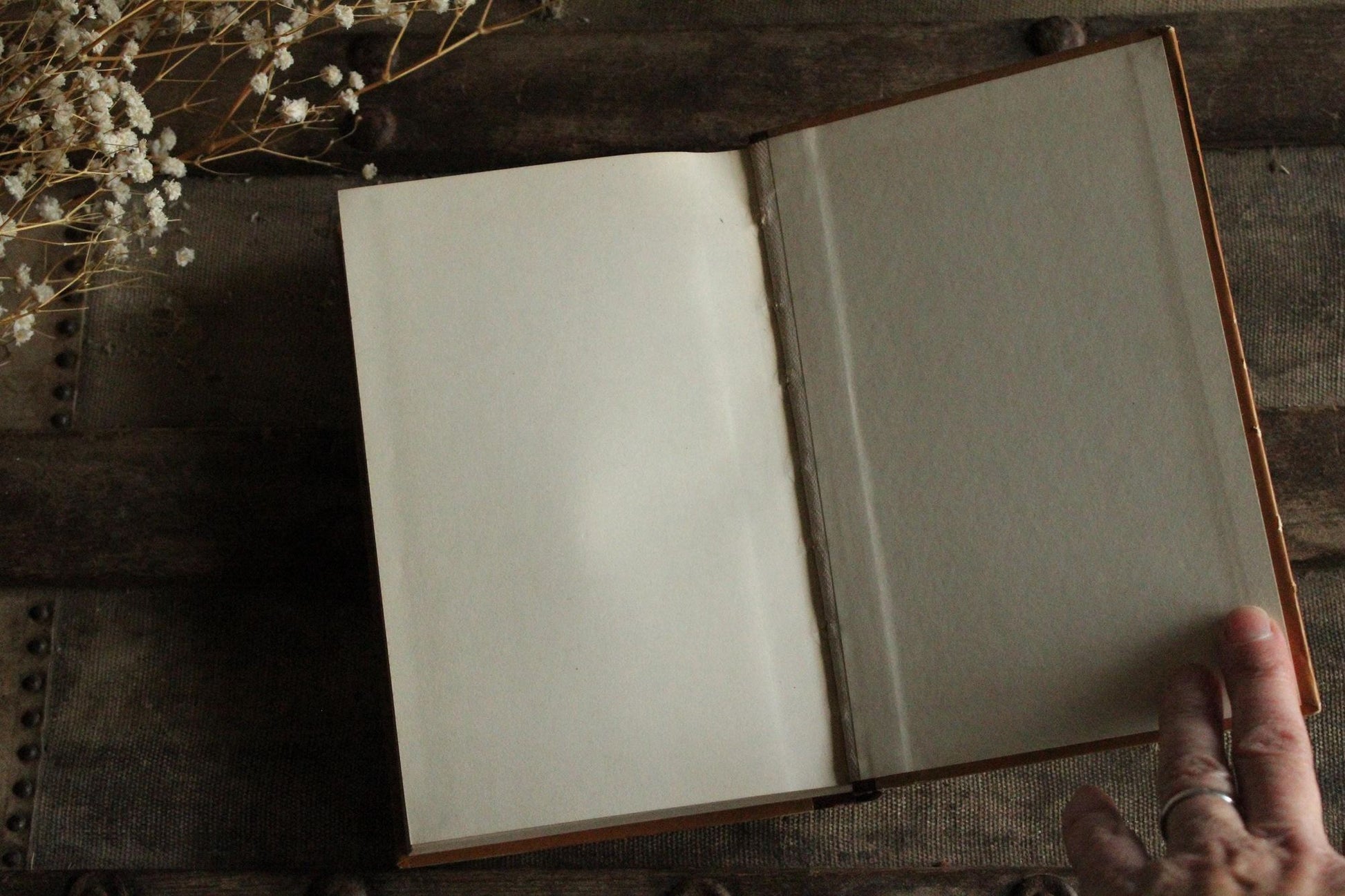 Vintage 1920s Book, "McGuffey's Sixth Eclectic Reader", Revised Edition American Co