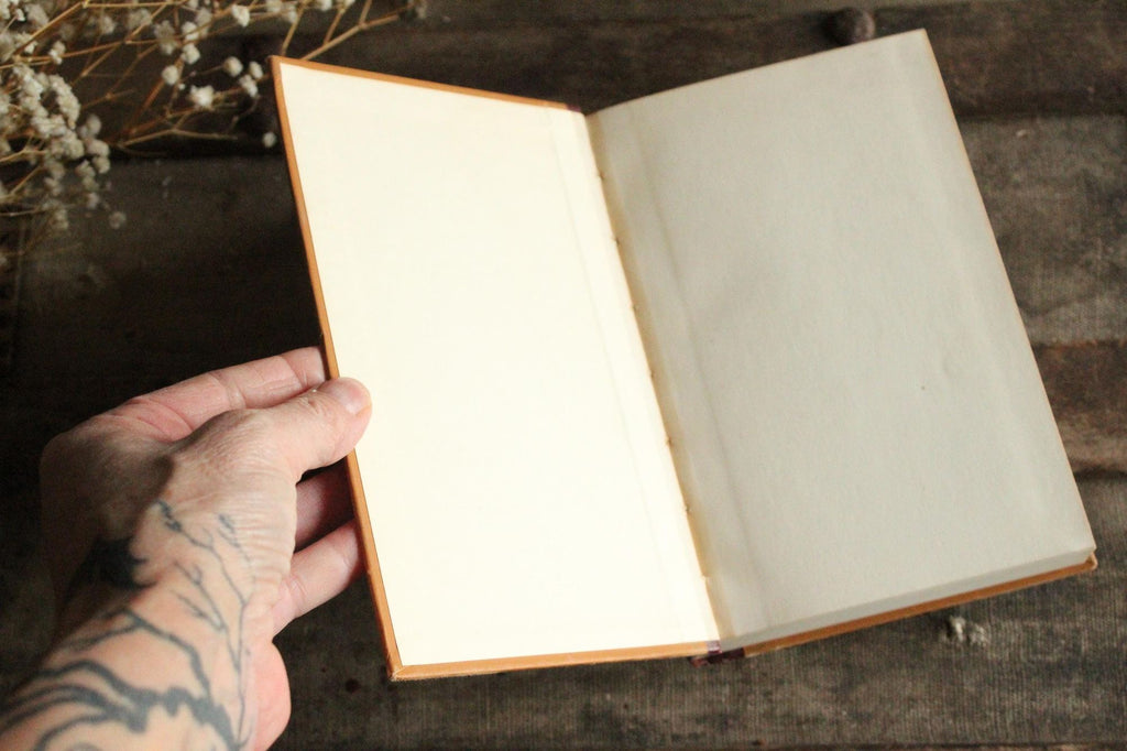 Vintage 1920s Book, "McGuffey's Sixth Eclectic Reader", Revised Edition American Co