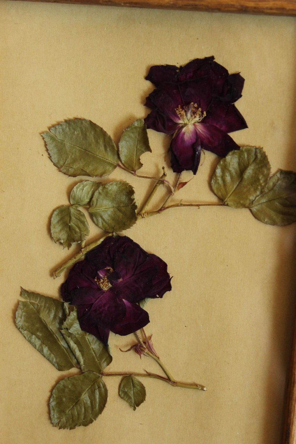 Handmade Pressed Dried Flower Roses in Vintage Wood Frame