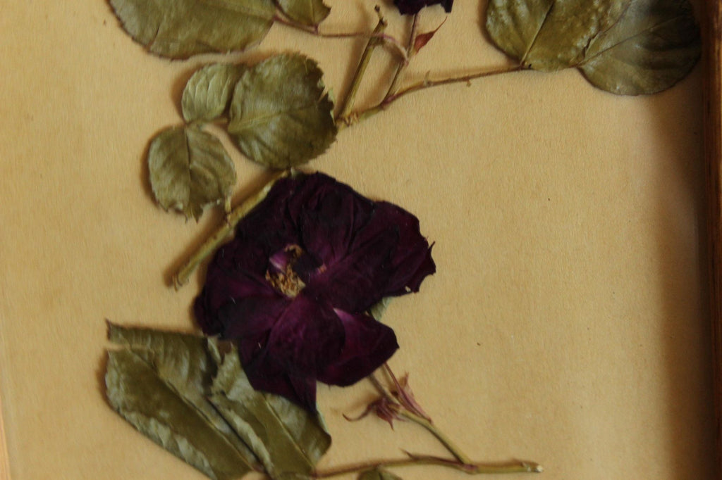 Handmade Pressed Dried Flower Roses in Vintage Wood Frame