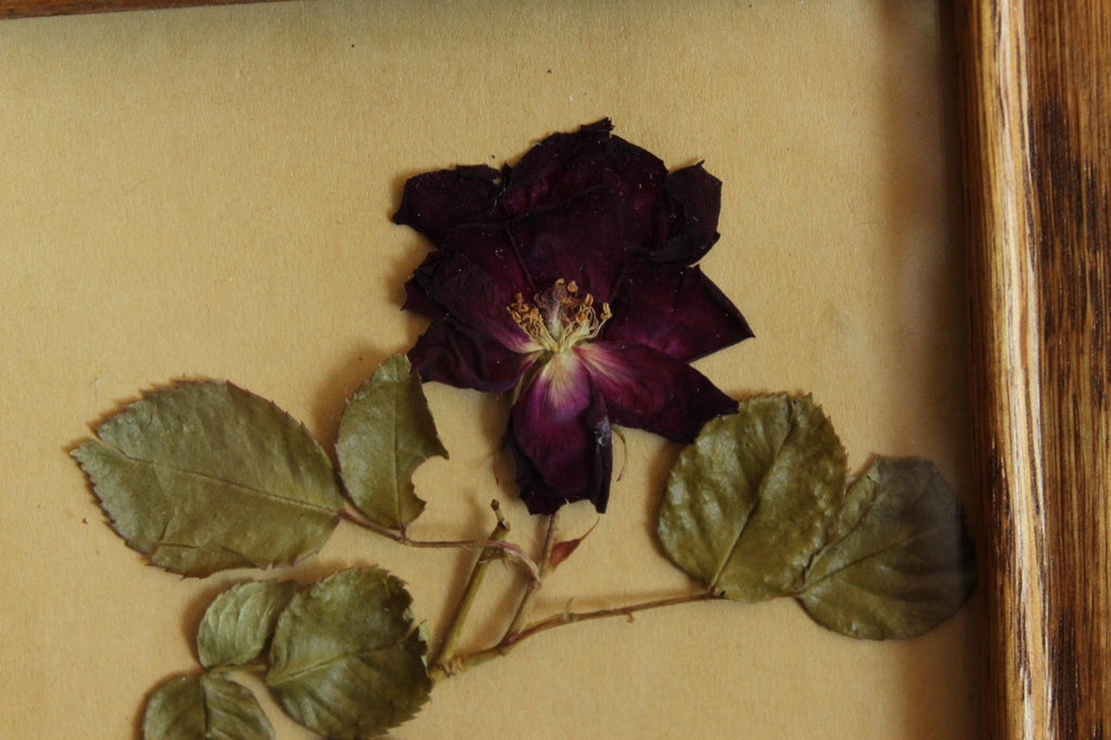 Handmade Pressed Dried Flower Roses in Vintage Wood Frame
