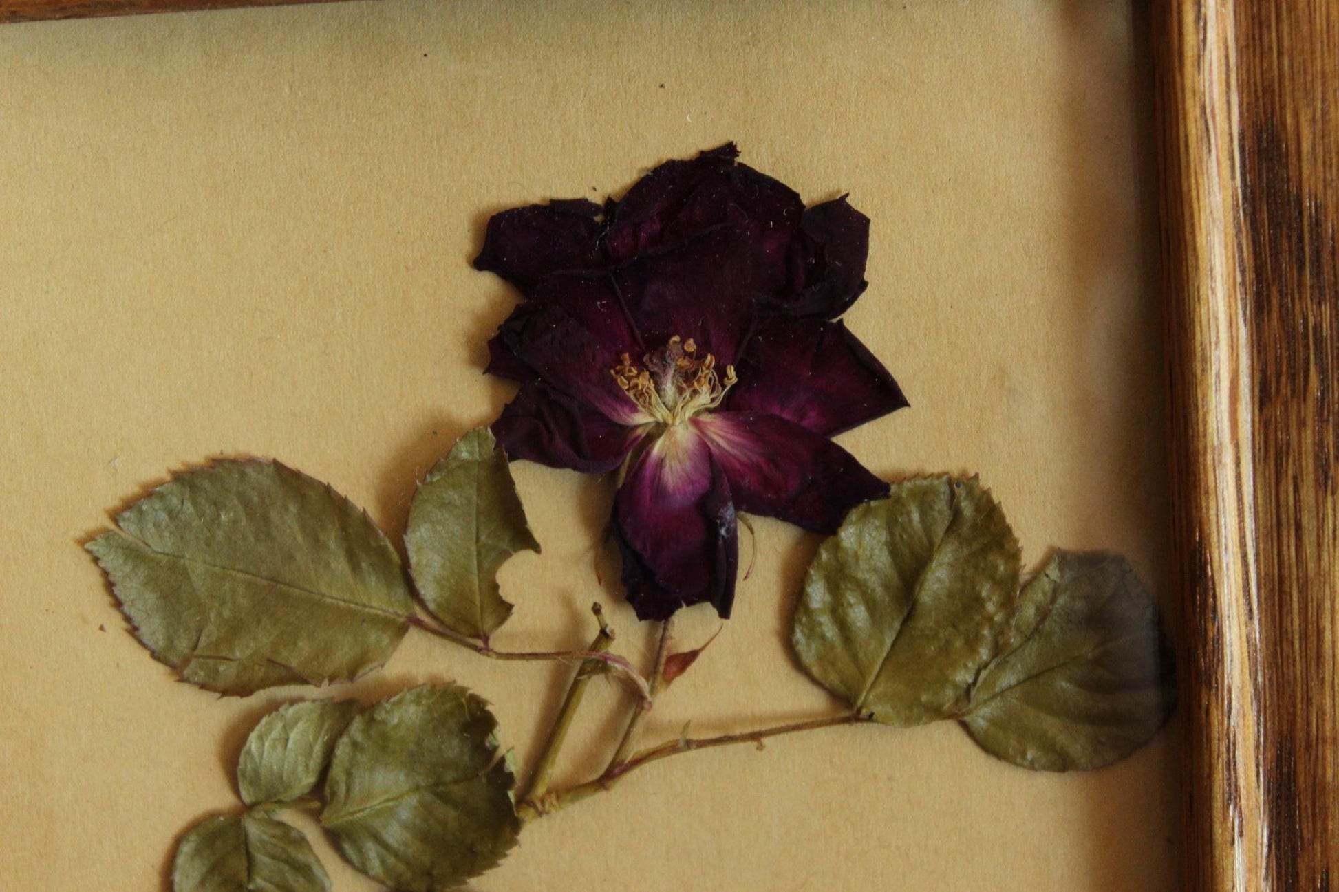 Handmade Pressed Dried Flower Roses in Vintage Wood Frame