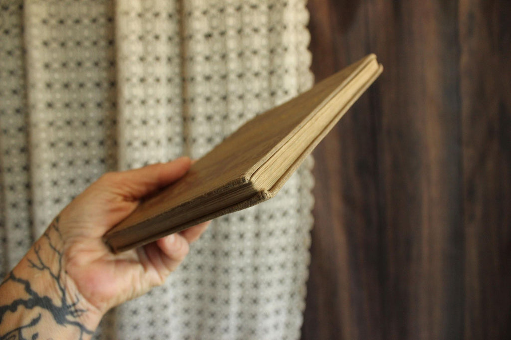 Vintage 1910s Book, "Reading Literary, The Primer", by Free and Treadwell, CA State Series