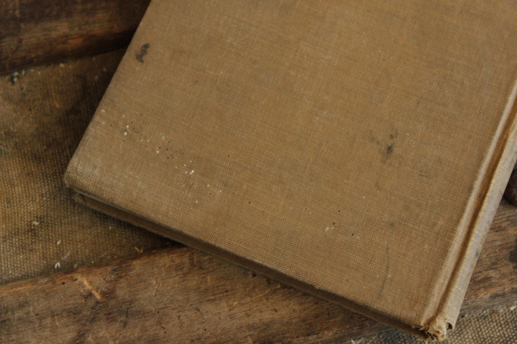 Vintage 1910s Book, "Reading Literary, The Primer", by Free and Treadwell, CA State Series
