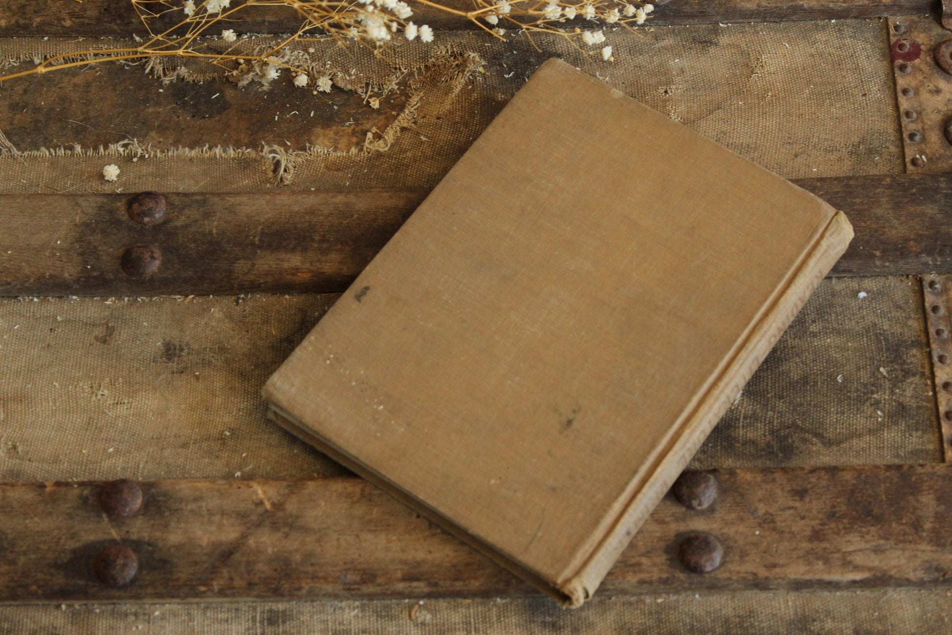 Vintage 1910s Book, "Reading Literary, The Primer", by Free and Treadwell, CA State Series