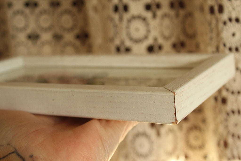 Vintage 1990s Framed Pink Rose Botanical Print