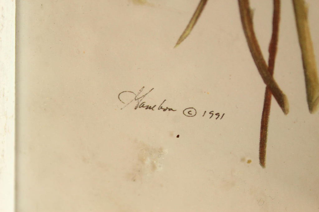 Vintage 1990s Framed Pink Rose Botanical Print