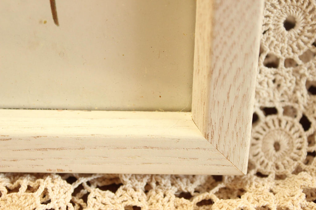 Vintage 1990s Framed Pink Rose Botanical Print