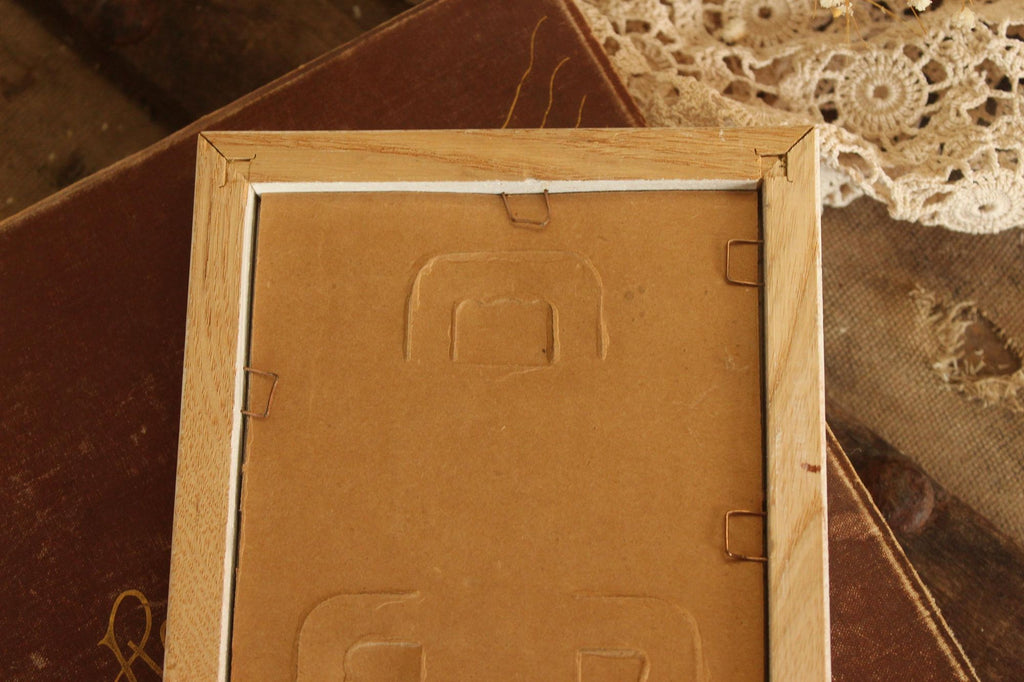 Vintage 1990s Framed Pink Rose Botanical Print