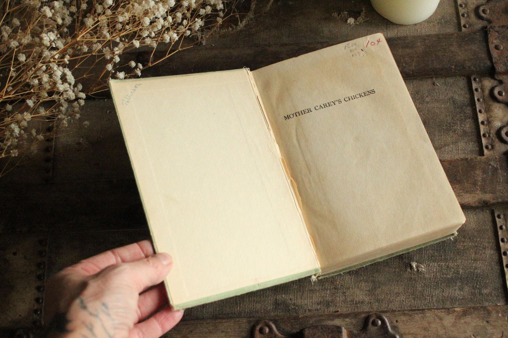 Vintage Antique 1910s Book, "Mother Carey's Chickens", by Kate Douglas Wiggin
