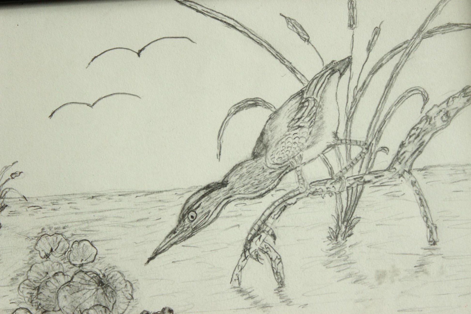 Vintage 1990s 2000s Framed Pencil Sketch of Heron and Frog in a Black Frame