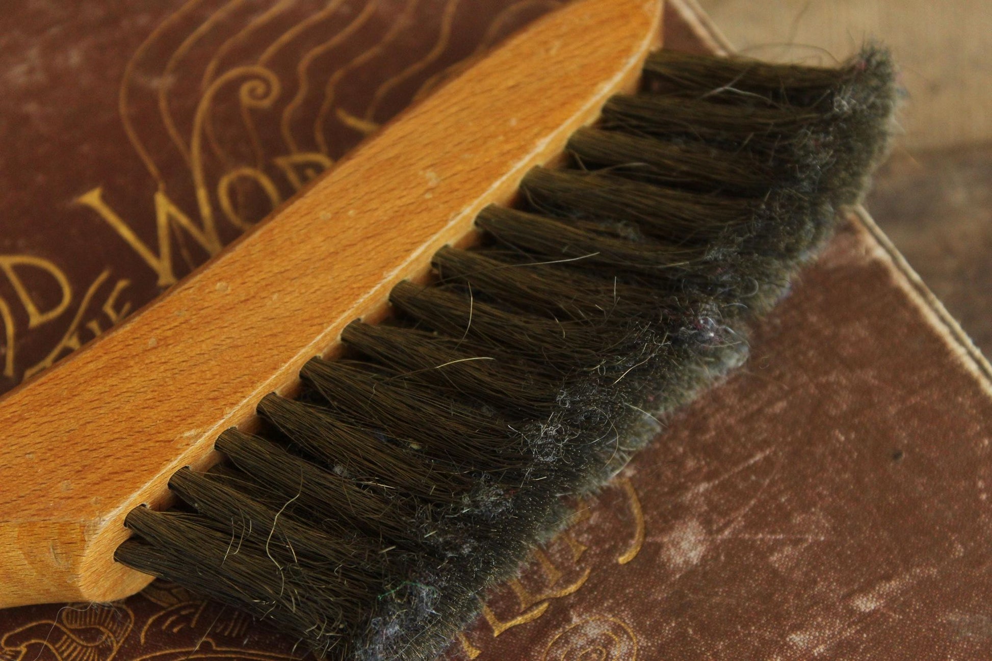 Vintage 1950s National Lint Chaser No 1 Clothing Brush