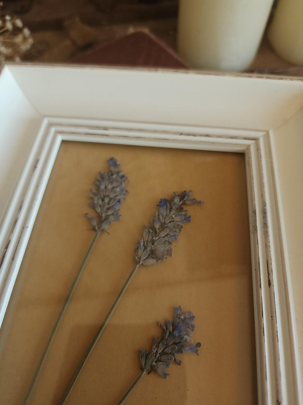 Framed Handmade Pressed Dried Lavender in White Wood Frame