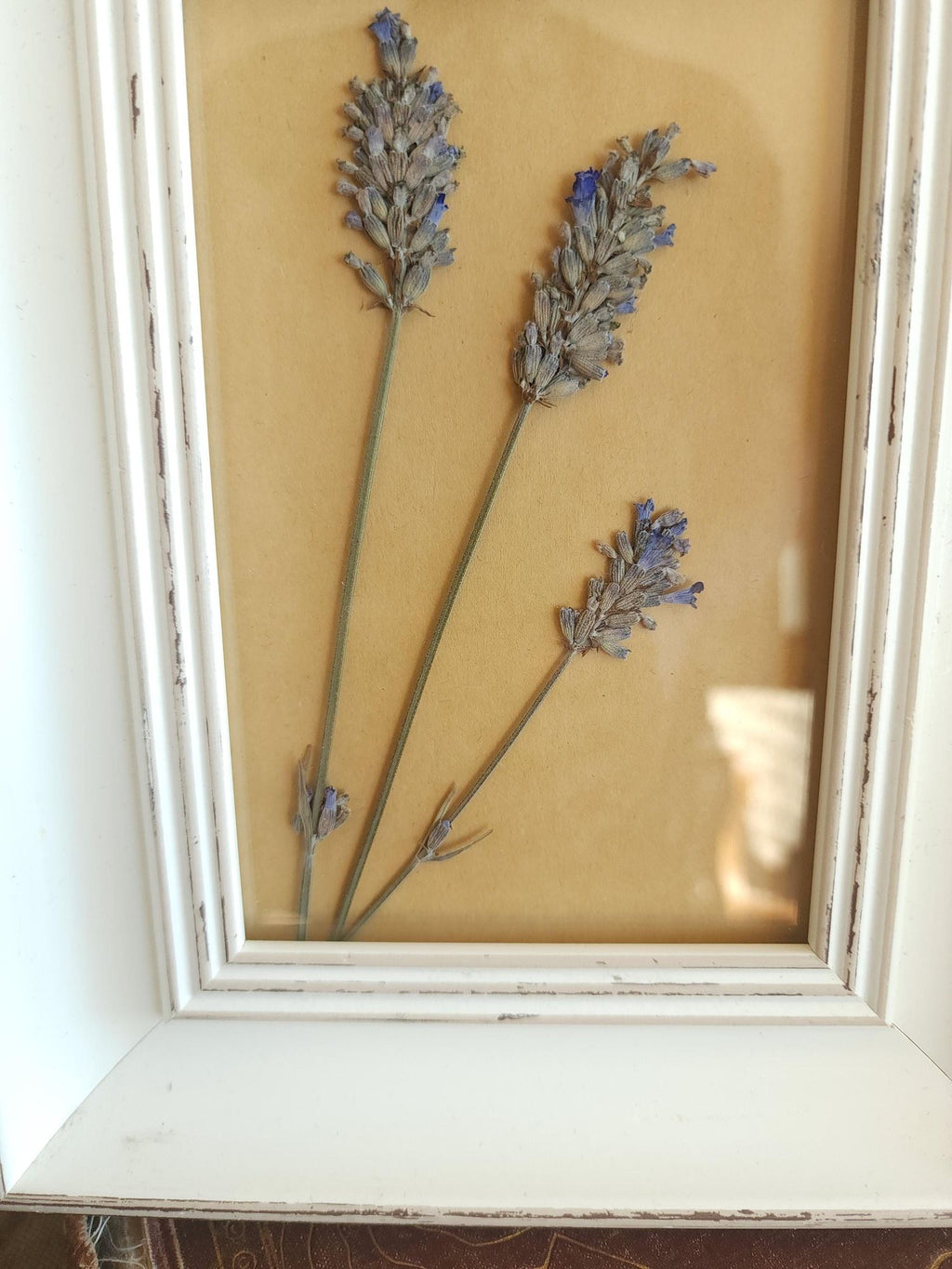 Framed Handmade Pressed Dried Lavender in White Wood Frame