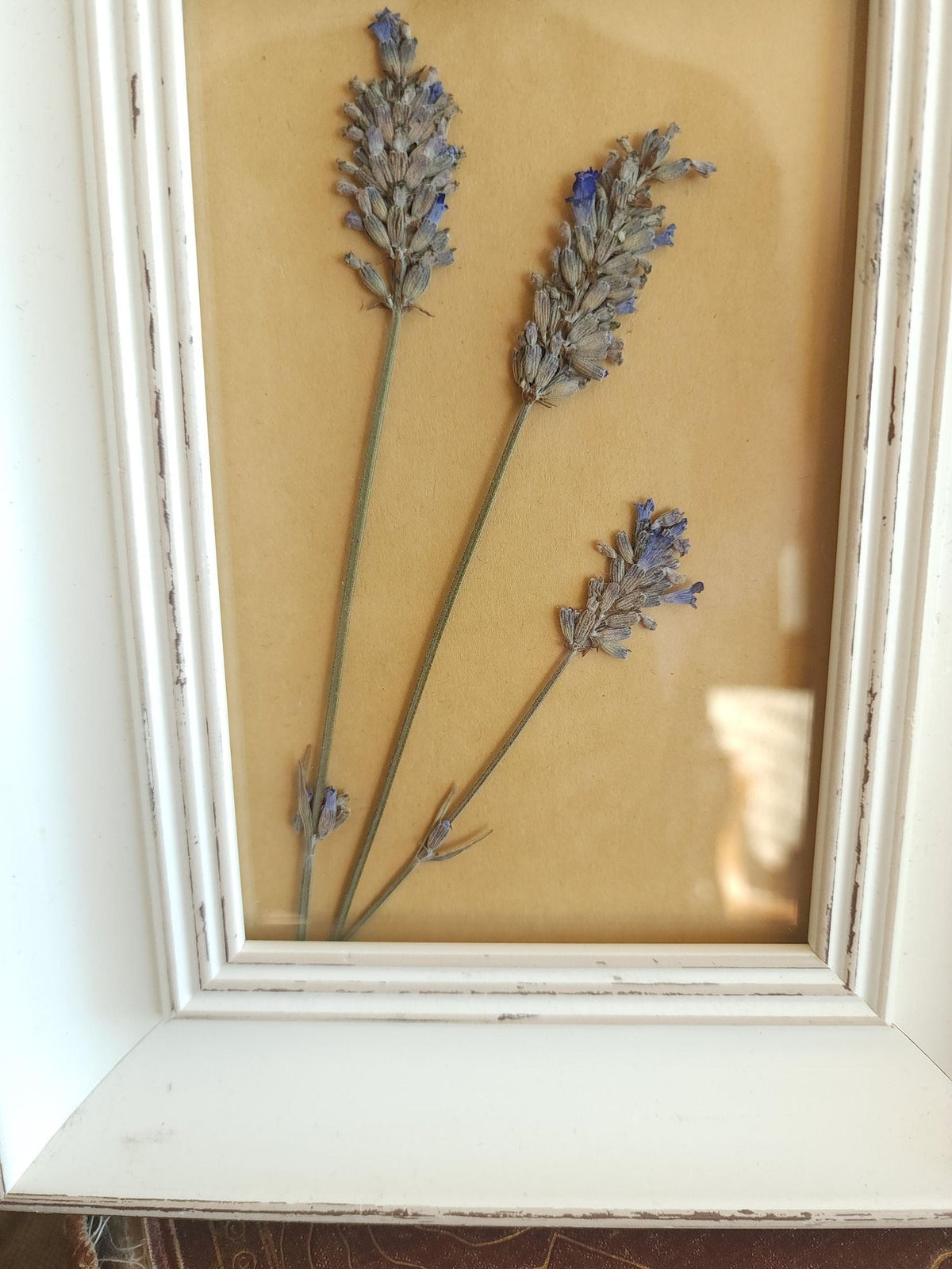 Framed Handmade Pressed Dried Lavender in White Wood Frame