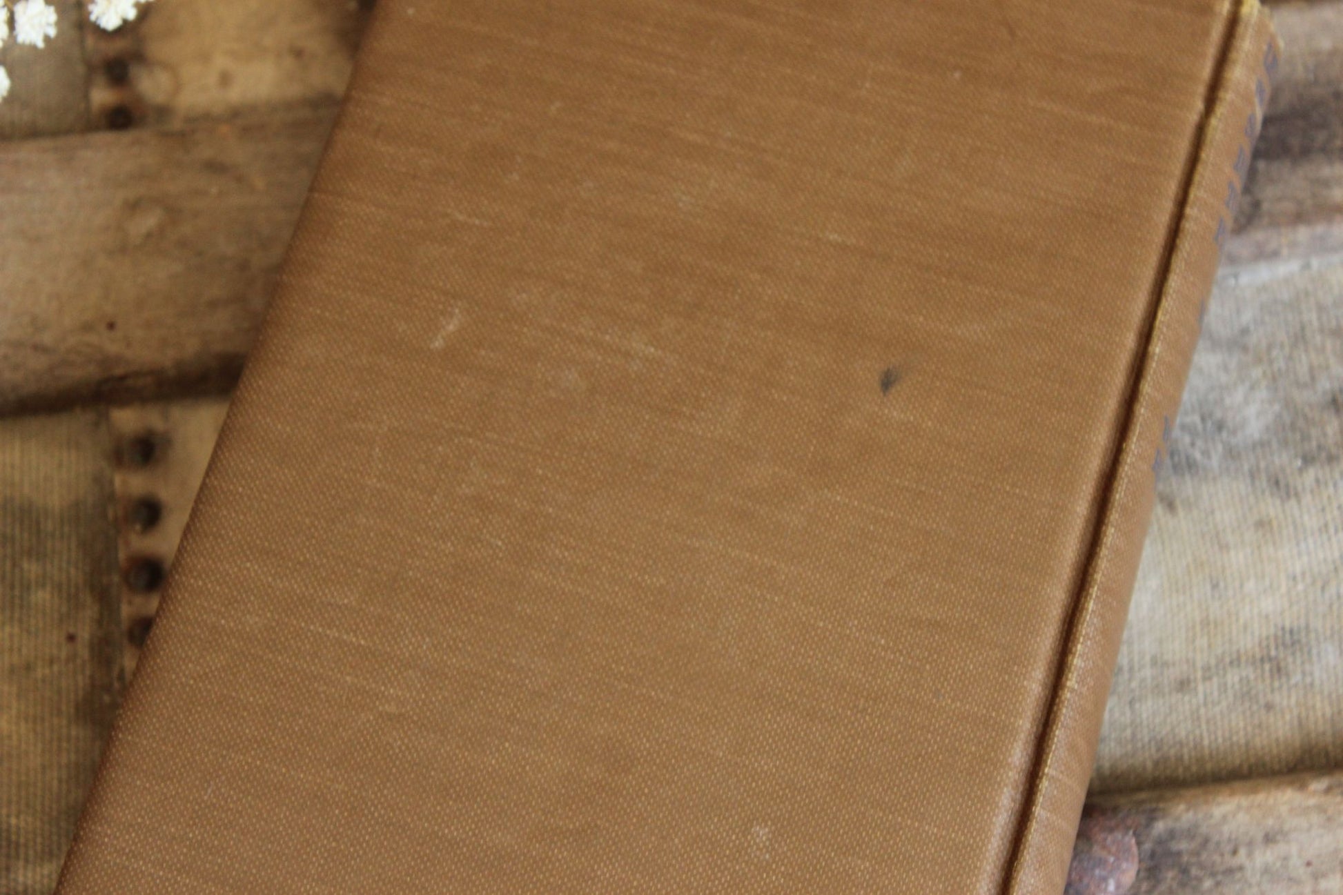 Vintage 1920s Book, Will Rogers, "Letters Of a Self Made Diplomat to His President."