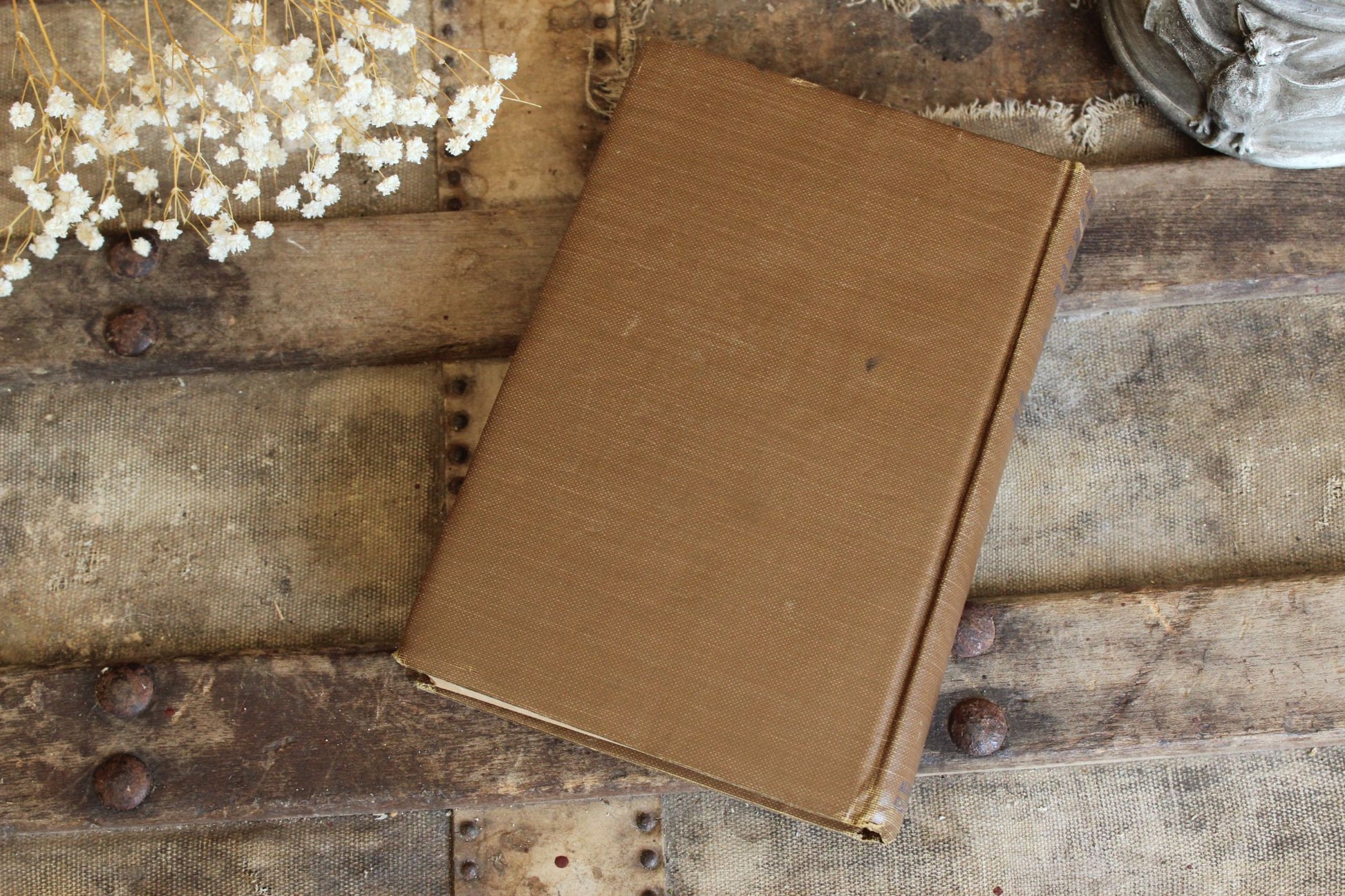 Vintage 1920s Book, Will Rogers, "Letters Of a Self Made Diplomat to His President."